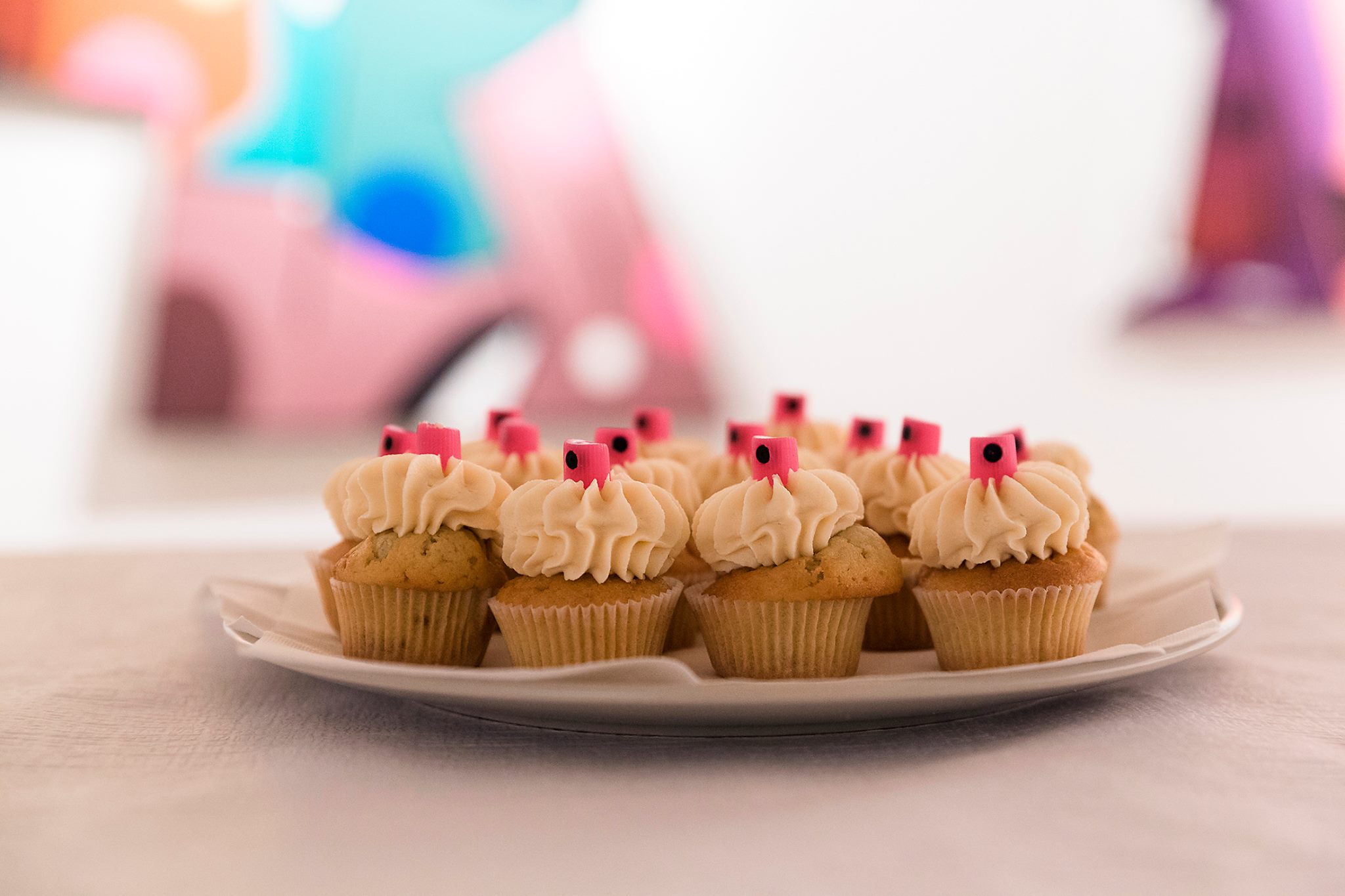 21728573_863631297139346_2191929442362612478_o_863631297139346