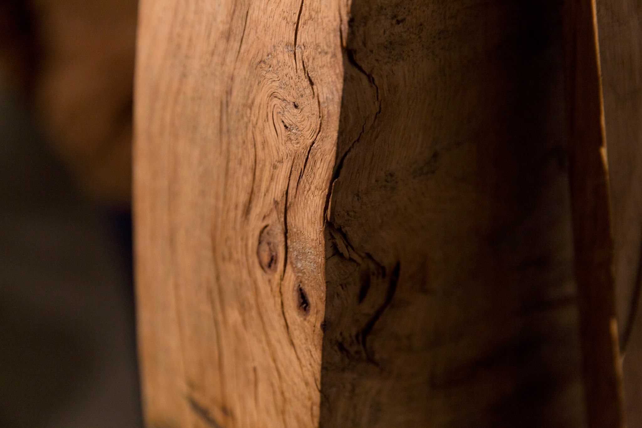 21728596_863631180472691_1748133194443211667_o_863631180472691