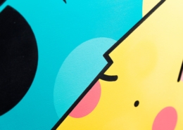 21752883_863631340472675_629359167882443285_o_863631340472675